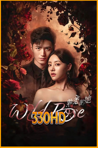 ดูซีรี่ย์ ทวงแค้นได้รัก Wild Rose (2025) EP.1-24 จบ ซับไทย