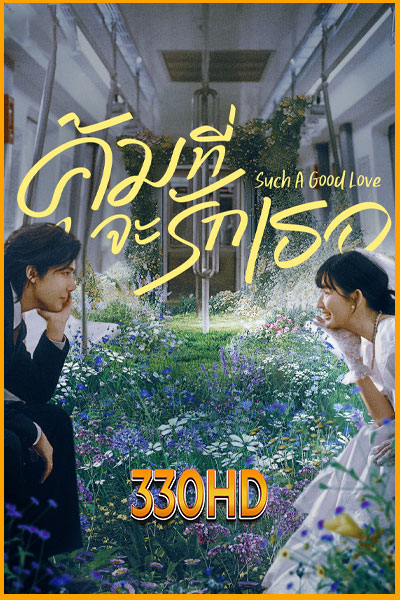 ดูซีรี่ย์ คุ้มที่จะรักเธอ Such A Good Love (2025) EP.1-26 จบ ซับไทย