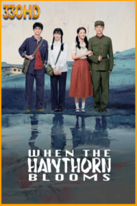 ดูซีรี่ย์ When the Hawthorn Blooms (2025) EP.1-18 ซับไทย